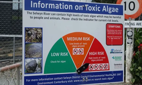 eight_col_Toxic_Algae_sign