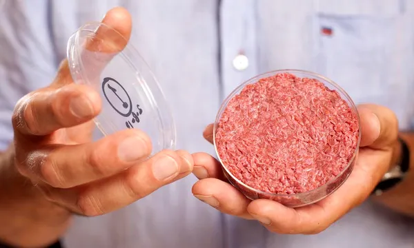 cultured-beef-02