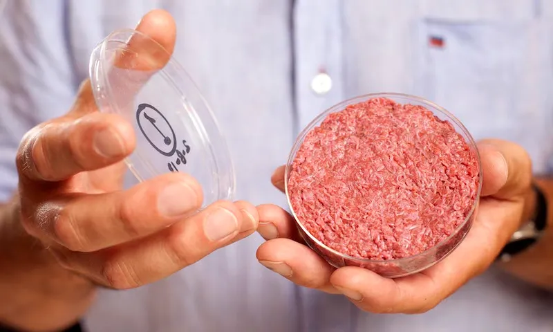 cultured-beef-02