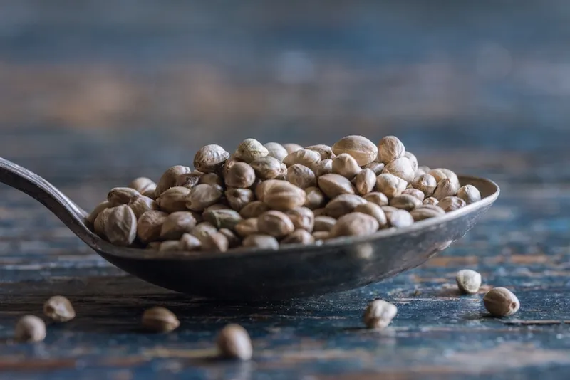 Close-Up Of Hemp Seeds In Spoon On Table