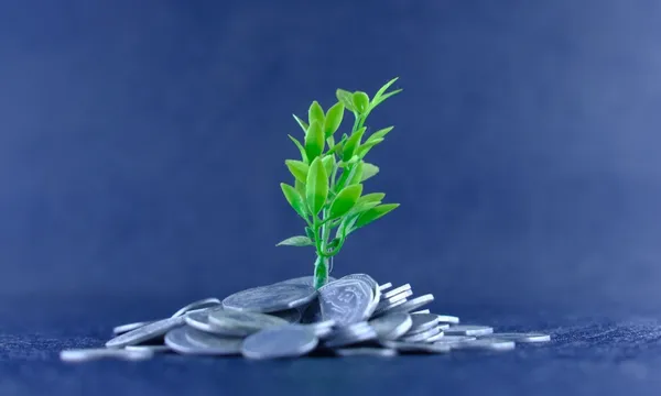 money tree getty