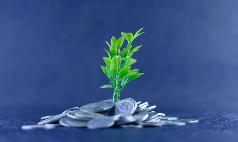 money tree getty