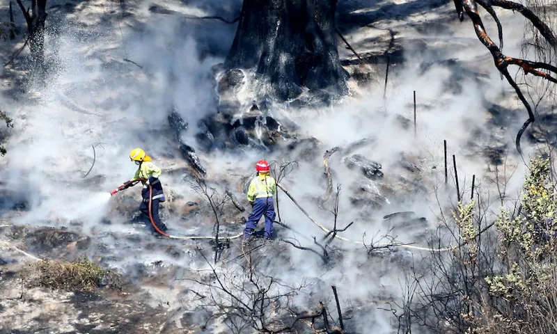 Forest Fires Continue To Burn Across Tasman District Near Nelson