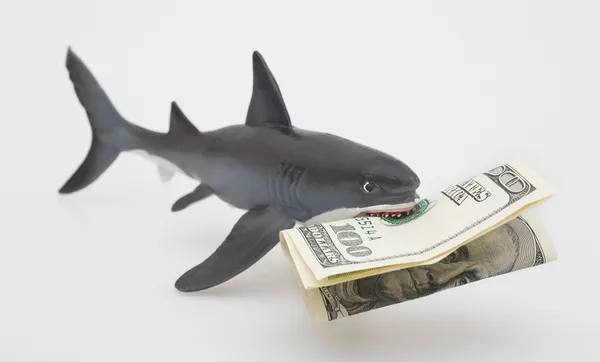 A toy shark holding a one hundred dollar US bill