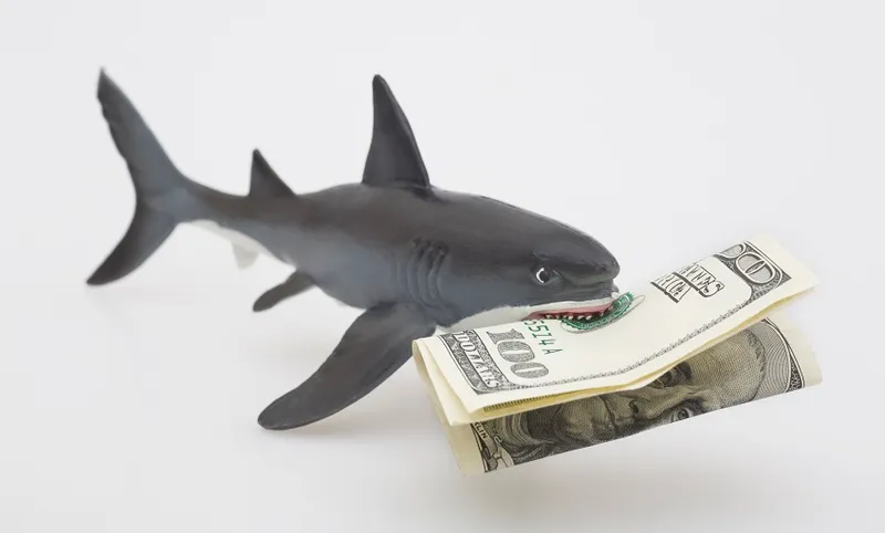 A toy shark holding a one hundred dollar US bill