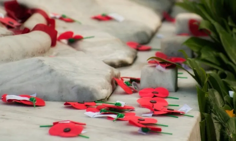 Anzac Poppies