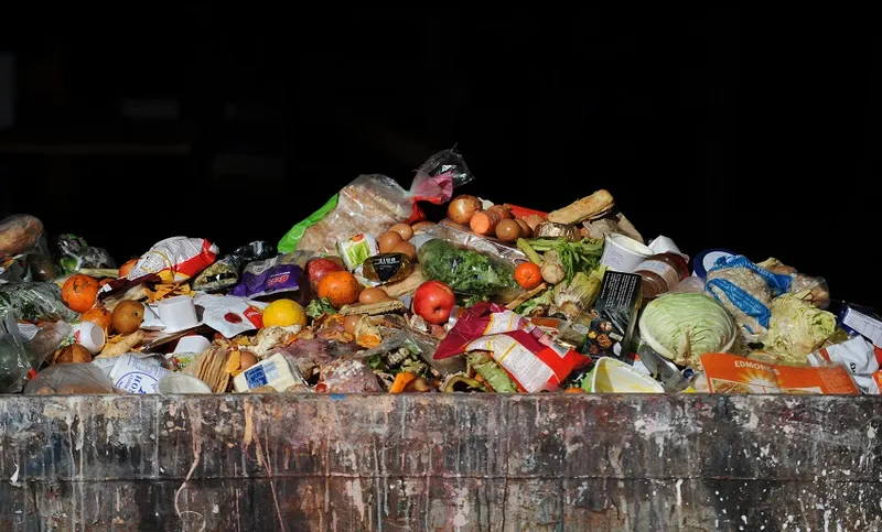 Food in skip 1 – LFHW