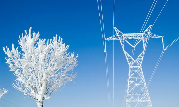 Winter power flick