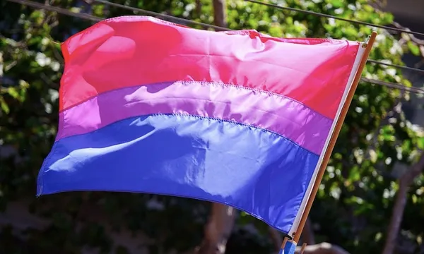 bi flag
