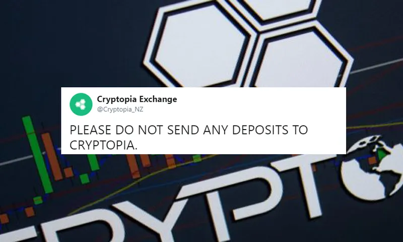 cryptopia hero