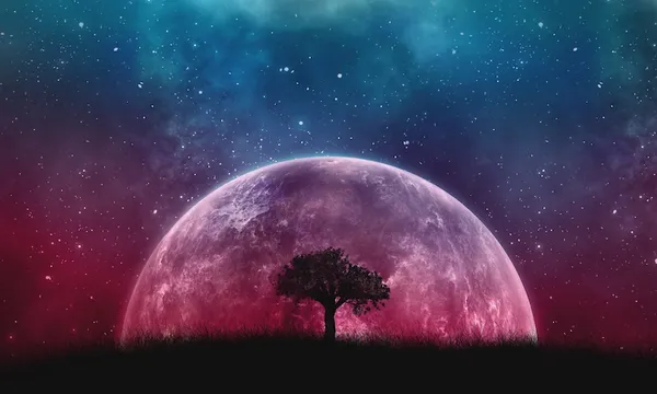 tree_planet_stars_galaxy_art_117068_1920x1080