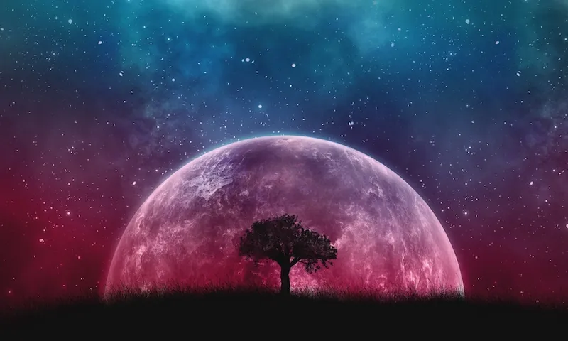 tree_planet_stars_galaxy_art_117068_1920x1080