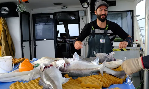 Nate removing bated lures from hapuka