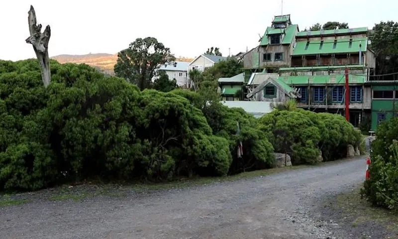 full_MARAE-800×510