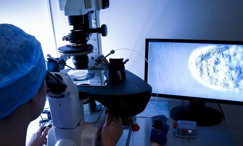 IVF treatment