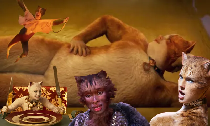 cats (1)