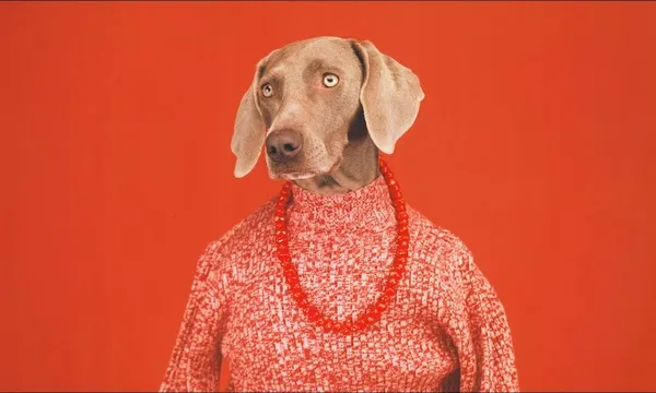 William Wegman