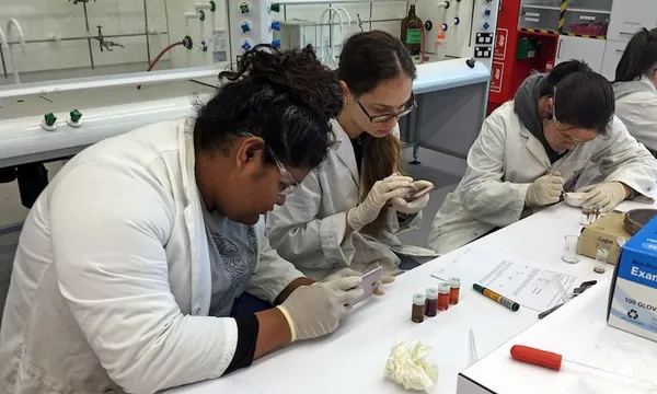 DiscoveryCamp Otago 2019