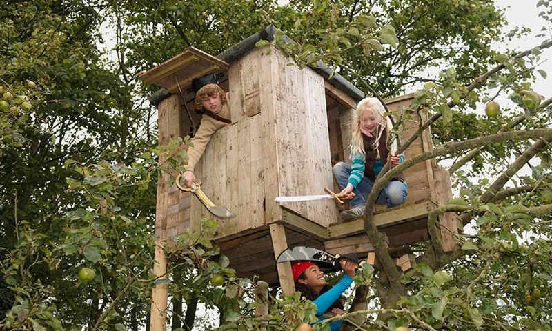 Children playing in treehouse
