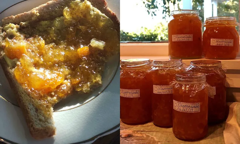 marmalade