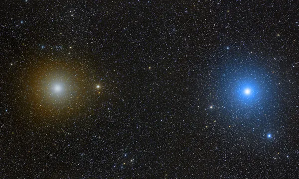 Castor pollux