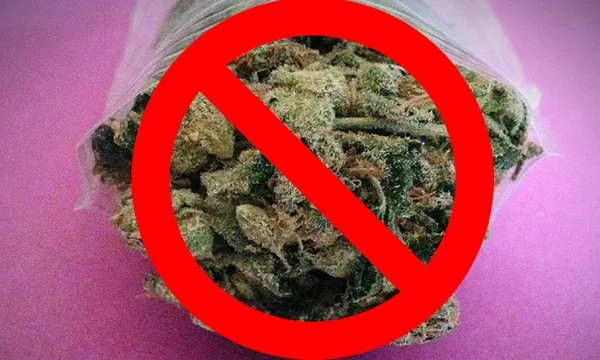weed