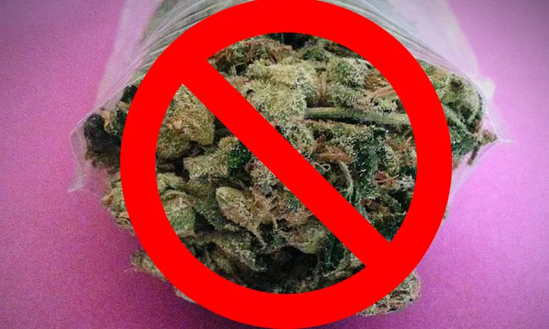weed