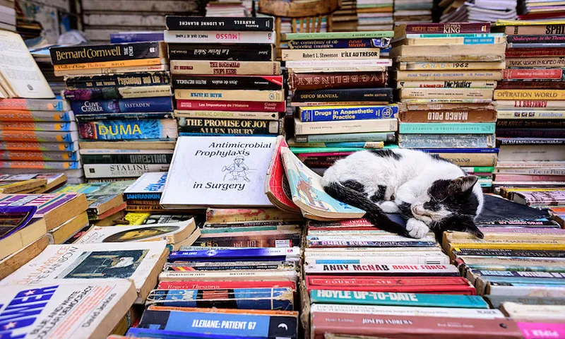 Black and white cat sleeping on top of a pile of books