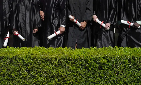 Row of university students in graduation gowns holding diplomas, mid-section, hedge in foreground