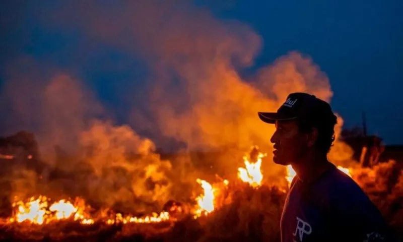 BRAZIL-FIRE-MATO GROSSO