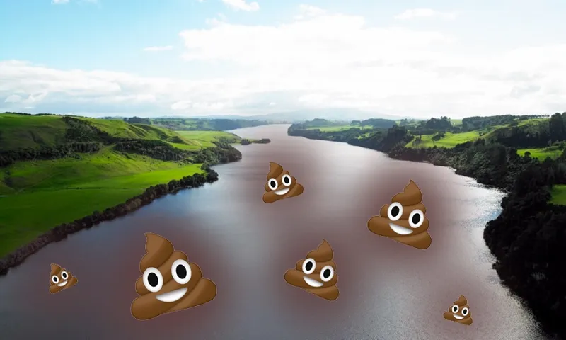 RegionalCouncilsWaikatoRiverPOO