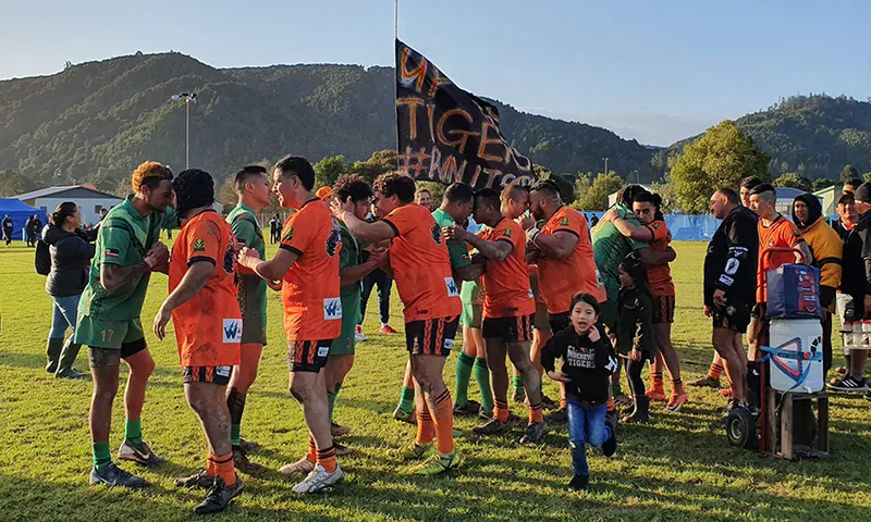 tigers 1