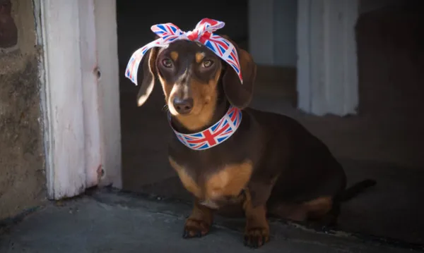 Union Jack