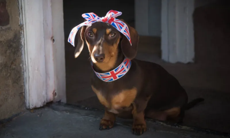 Union Jack