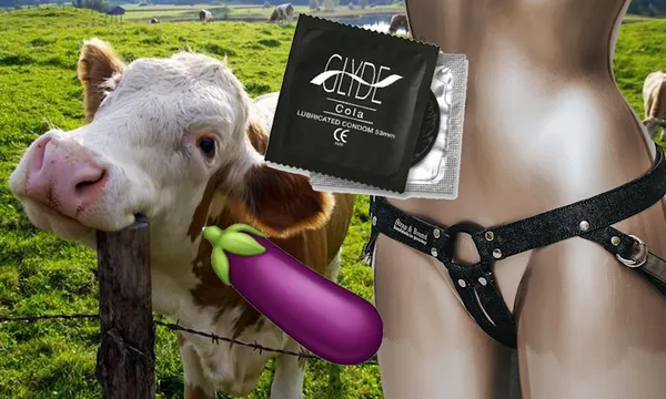 ethicalsex