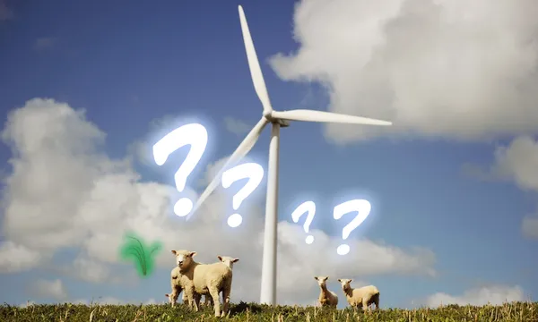 Renewable energy ???