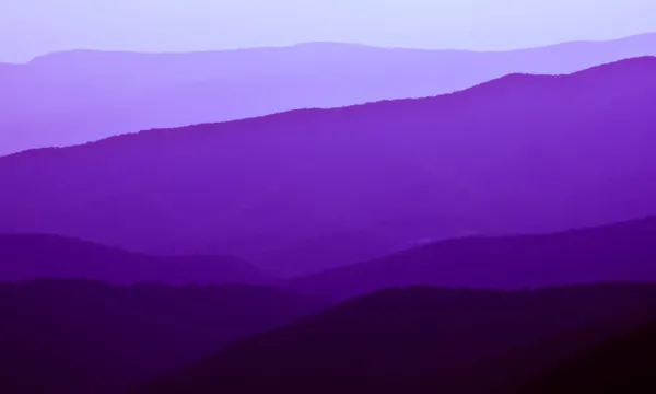 5924432723_b5882a8a71_h