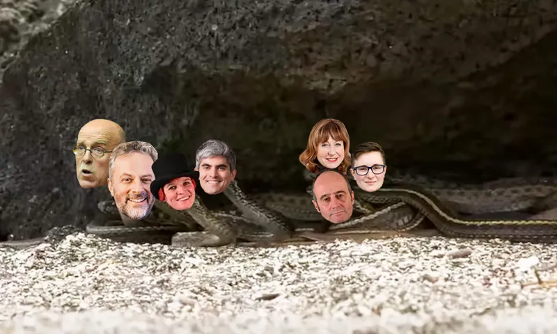 DunedinSnakeFeature