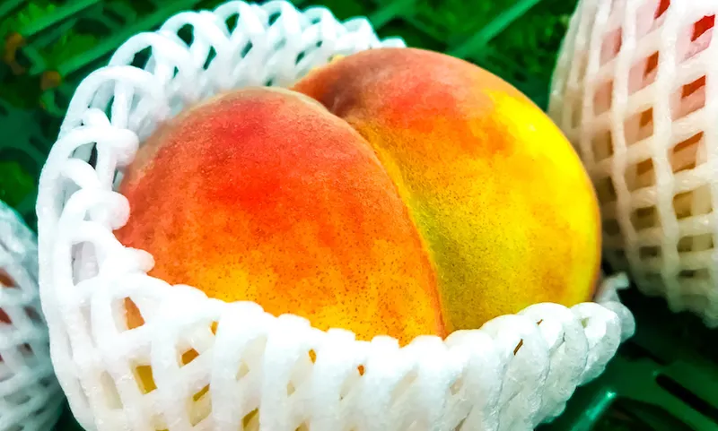 Close-up of a big peach with white plastic mesh cushion