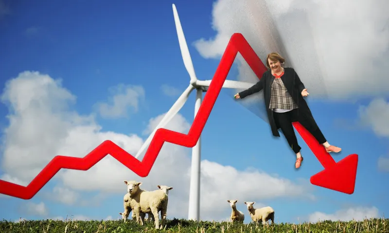 Megan Woods Electricity Price Review