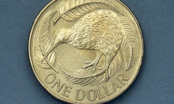 1 dollar coin