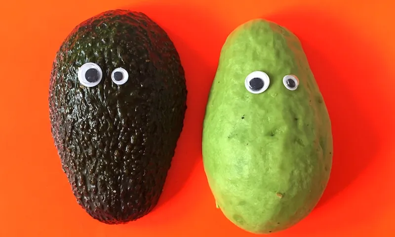 avocado