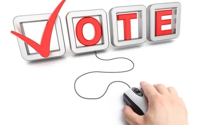 A hand holding a black and white mouse and a tick for vote