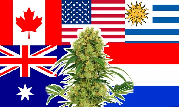 Budflags