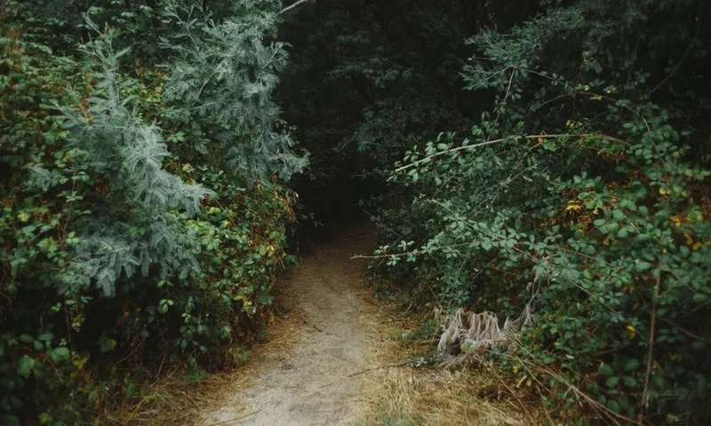 Untitled design (5)