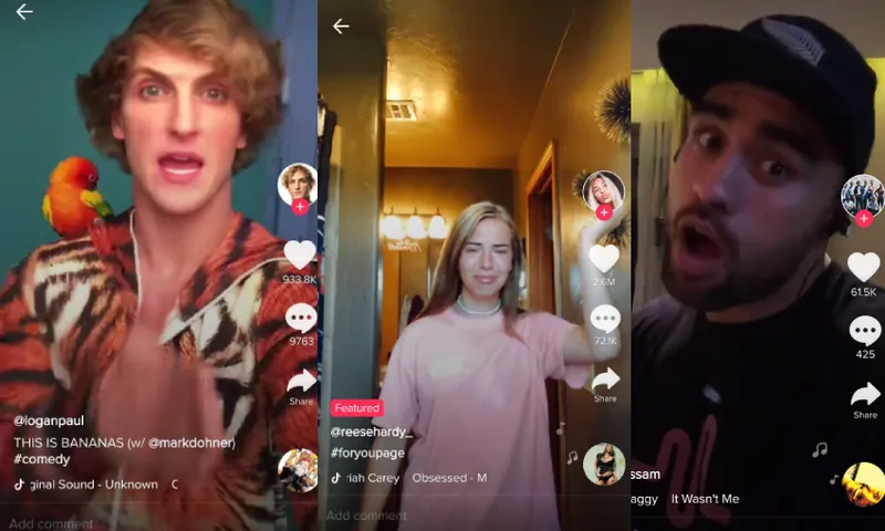 Tiktok screenshots feature