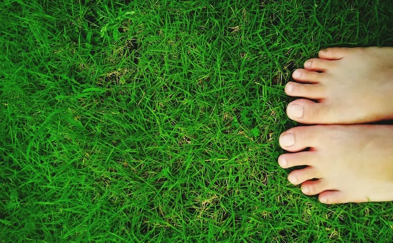 Low Section Of Woman Standing On Grassy Field