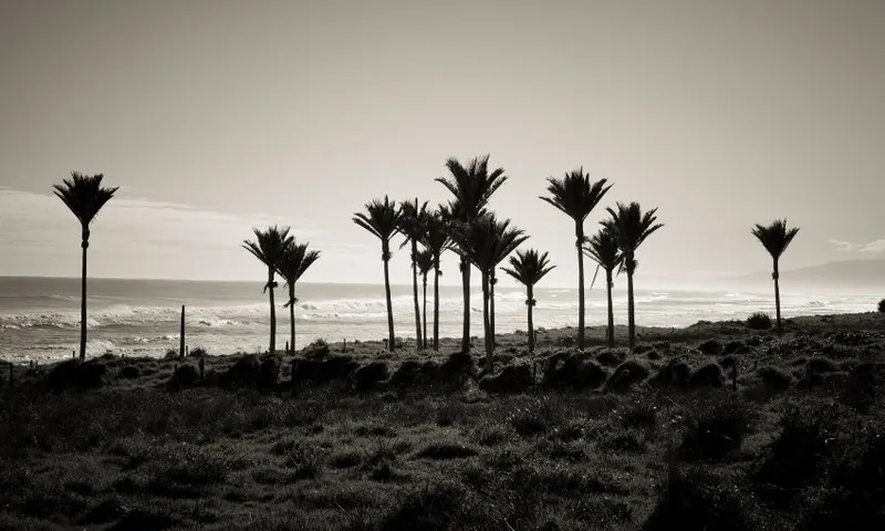 Enjoynz:Getty feature
