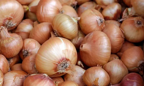onions-1397037_960_720