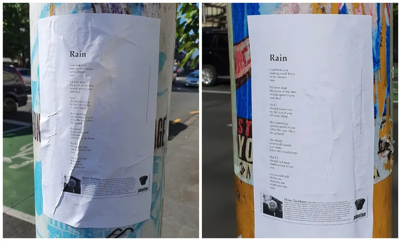 Tuwhare feature